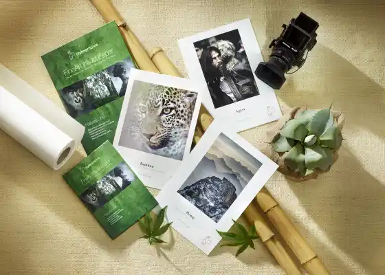 Papier de la gamme Natural Line de Hahnemuhle